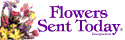 Blooms USA Deals