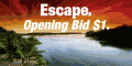 SkyAuction.com Deals